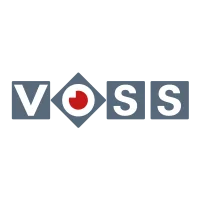Elektro- und Sicherheitstechnik Voss GmbH & Co. KG Logo