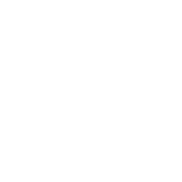 Guardius Sicherheitsdienst Logo
